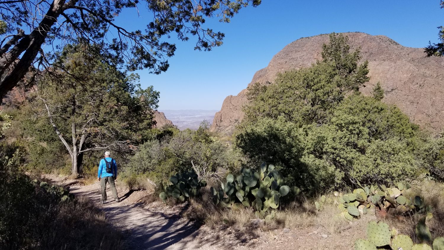 Basin and Window View Hikes 